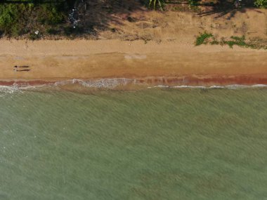 Port Dickson, Negeri Sembilan / Malezya - 25 Ocak 2020: Hibiscus çiçeği ve damga şeklinde oteller ve tatil beldeleri