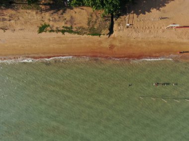 Port Dickson, Negeri Sembilan / Malezya - 25 Ocak 2020: Hibiscus çiçeği ve damga şeklinde oteller ve tatil beldeleri