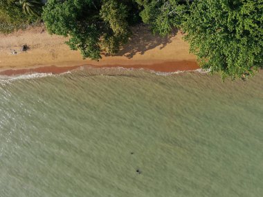 Port Dickson, Negeri Sembilan / Malezya - 25 Ocak 2020: Hibiscus çiçeği ve damga şeklinde oteller ve tatil beldeleri