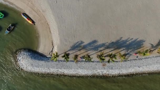 Port Dickson Negeri Sembilan Malaysia January 2020 Hibiscus Flower Stigma — 图库视频影像