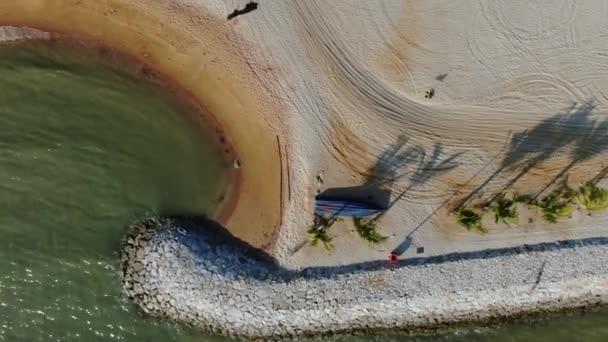 Port Dickson Negeri Sembilan Malásia Janeiro 2020 Flor Hibisco Hotéis — Vídeo de Stock