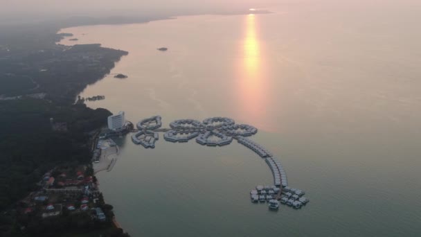 Port Dickson Negeri Sembilan Malaysia Januar 2020 Die Hibiskusblüte Und — Stockvideo