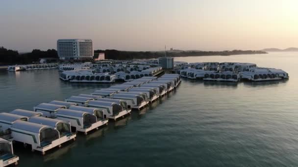 Port Dickson Negeri Sembilan Malaysia Januari 2020 Hibiscus Blomma Och — Stockvideo