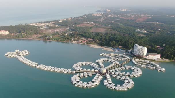 Port Dickson Negeri Sembilan Malasia Enero 2020 Flor Del Hibiscus — Vídeos de Stock