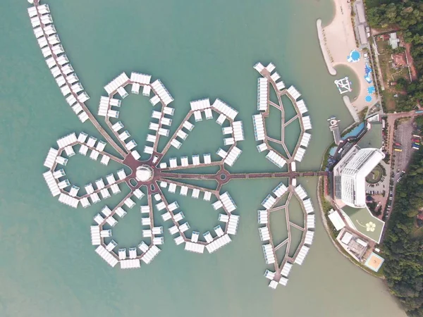 Port Dickson Negeri Sembilan Malezya Ocak 2020 Hibiscus Çiçeği Damga — Stok fotoğraf