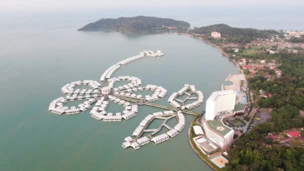 Port Dickson Negeri Sembilan Maleisië Januari 2020 Hibiscus Bloemen Stigmavormige — Stockvideo