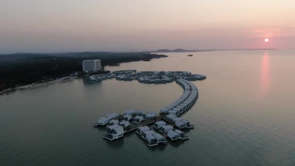 Port Dickson Negeri Sembilan Malajzia Január 2020 Hibiszkusz Virág Stigma — Stock videók