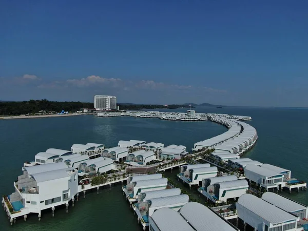 Port Dickson Negeri Sembilan Maleisië Januari 2020 Hibiscus Bloemen Stigmavormige — Stockfoto