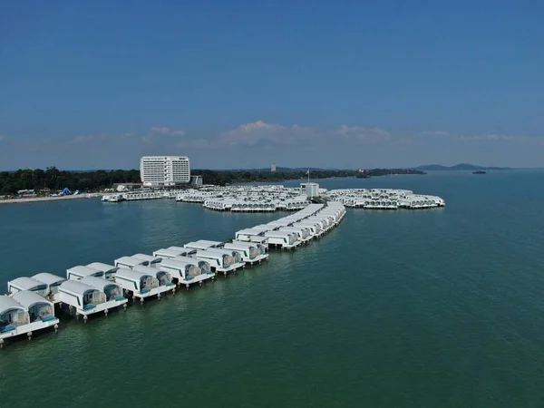 Port Dickson Negeri Sembilan Malaysia Januari 2020 Hibiscus Blomma Och — Stockfoto