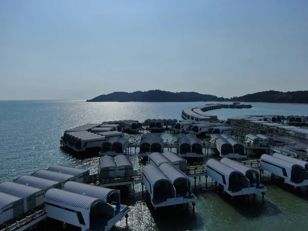 Port Dickson Negeri Sembilan Malaysia Januar 2020 Die Hibiskusblüte Und — Stockfoto