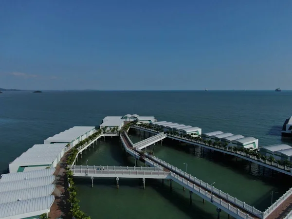 Порт Диксон Негери Сембилан Малайзия Января 2020 Года Цветок Хибискуса — стоковое фото