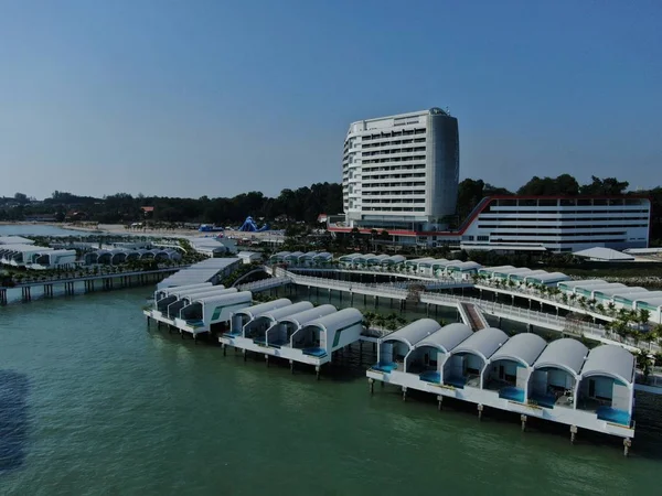 Port Dickson Negeri Sembilan Malaysia Januar 2020 Hibiscus Blomst Stigmatisering - Stock-foto