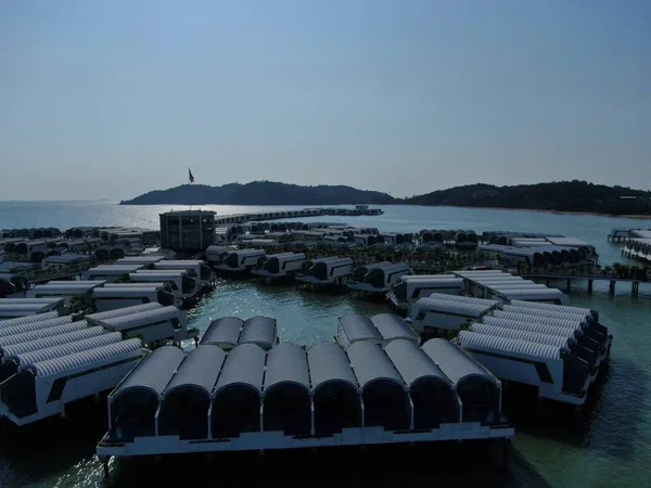 Порт Диксон Негери Сембилан Малайзия Января 2020 Года Цветок Хибискуса — стоковое фото