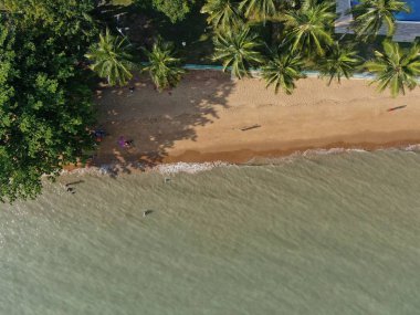 Port Dickson, Negeri Sembilan / Malezya - 25 Ocak 2020: Hibiscus çiçeği ve damga şeklinde oteller ve tatil beldeleri