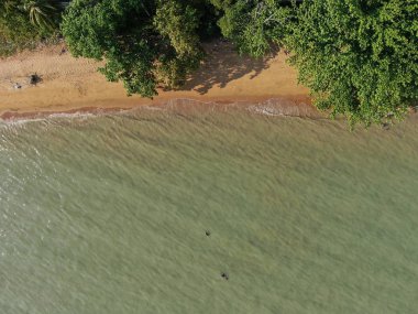 Port Dickson, Negeri Sembilan / Malezya - 25 Ocak 2020: Hibiscus çiçeği ve damga şeklinde oteller ve tatil beldeleri