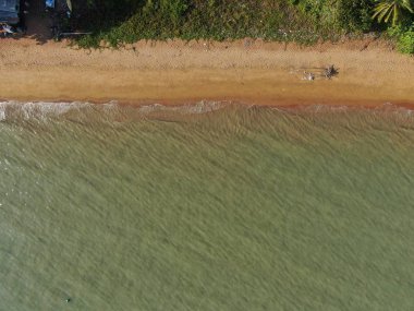 Port Dickson, Negeri Sembilan / Malezya - 25 Ocak 2020: Hibiscus çiçeği ve damga şeklinde oteller ve tatil beldeleri