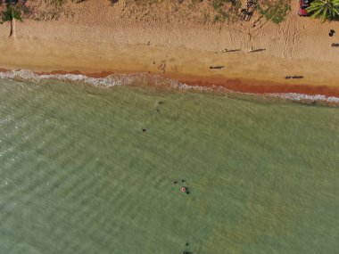 Port Dickson, Negeri Sembilan / Malezya - 25 Ocak 2020: Hibiscus çiçeği ve damga şeklinde oteller ve tatil beldeleri