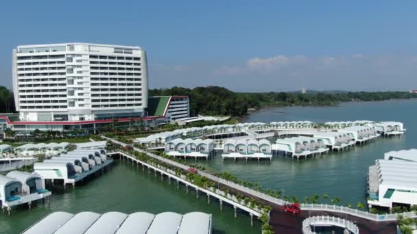 Port Dickson Negeri Sembilan Malaysia Januar 2020 Die Hibiskusblüte Und — Stockvideo