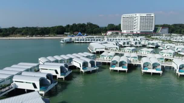 Port Dickson Negeri Sembilan Malaysia Januar 2020 Die Hibiskusblüte Und — Stockvideo