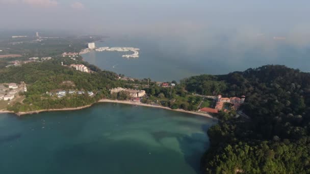 Порт Диксон Негери Сембилан Малайзия Января 2020 Года Цветок Хибискуса — стоковое видео