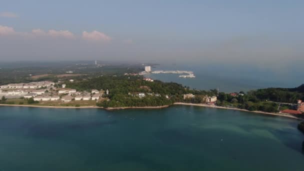 Port Dickson Negeri Sembilan Malaysia Januar 2020 Die Hibiskusblüte Und — Stockvideo