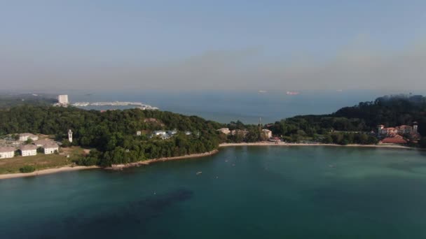 Port Dickson Negeri Sembilan Maleisië Januari 2020 Hibiscus Bloemen Stigmavormige — Stockvideo