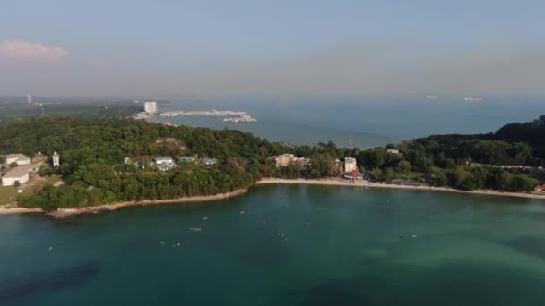 Port Dickson Negeri Sembilan Maleisië Januari 2020 Hibiscus Bloemen Stigmavormige — Stockvideo