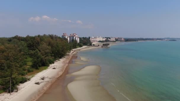 Port Dickson Negeri Sembilan Malasia Enero 2020 Flor Del Hibiscus — Vídeos de Stock