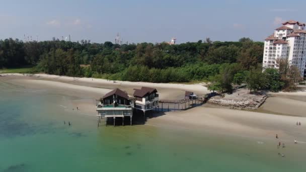Port Dickson Negeri Sembilan Malaysia January 2020 Hibiscus Flower Stigma — 비디오