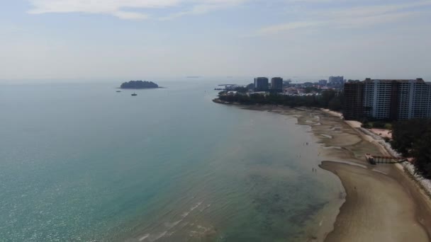 Port Dickson Negeri Sembilan Malaysia Januari 2020 Bunga Dan Stigma — Stok Video