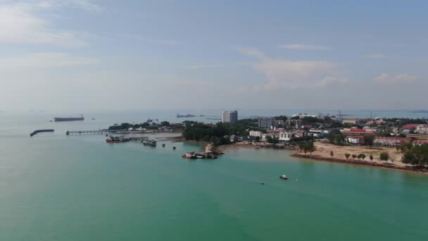 Port Dickson Negeri Sembilan Malajzia Január 2020 Hibiszkusz Virág Stigma — Stock videók