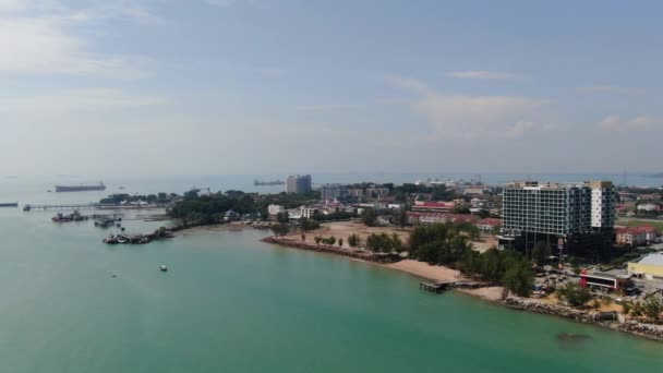 Port Dickson Negeri Sembilan Malaysia Januari 2020 Hibiscus Blomma Och — Stockvideo