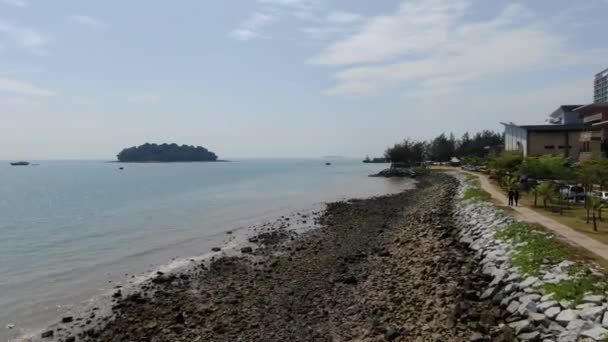 Port Dickson Negeri Sembilan Maleisië Januari 2020 Hibiscus Bloemen Stigmavormige — Stockvideo