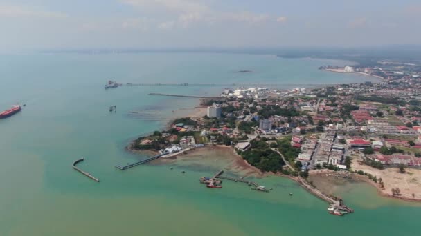 Port Dickson Negeri Sembilan Malaysia Januar 2020 Die Hibiskusblüte Und — Stockvideo