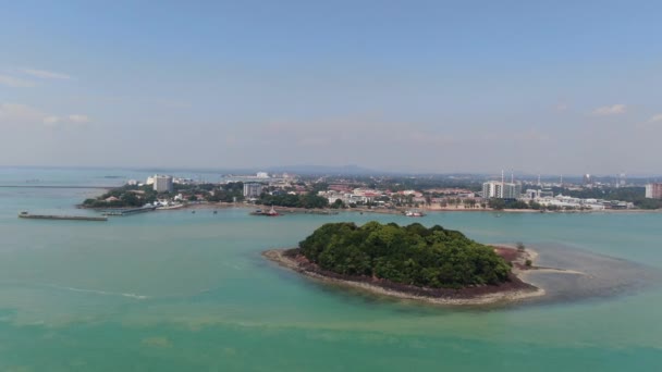 Port Dickson Negeri Sembilan Malaysia January 2020 Hibiscus Flower Stigma — 图库视频影像