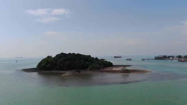 Port Dickson Negeri Sembilan Malaysia Januar 2020 Die Hibiskusblüte Und — Stockvideo