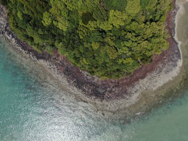 Port Dickson, Negeri Sembilan / Malezya - 25 Ocak 2020: Hibiscus çiçeği ve damga şeklinde oteller ve tatil beldeleri