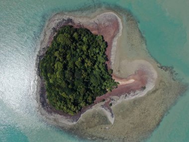 Port Dickson, Negeri Sembilan / Malezya - 25 Ocak 2020: Hibiscus çiçeği ve damga şeklinde oteller ve tatil beldeleri