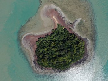 Port Dickson, Negeri Sembilan / Malezya - 25 Ocak 2020: Hibiscus çiçeği ve damga şeklinde oteller ve tatil beldeleri