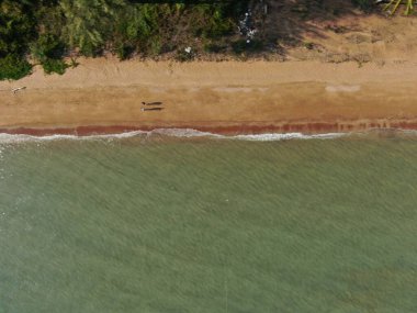 Port Dickson, Negeri Sembilan / Malezya - 25 Ocak 2020: Hibiscus çiçeği ve damga şeklinde oteller ve tatil beldeleri