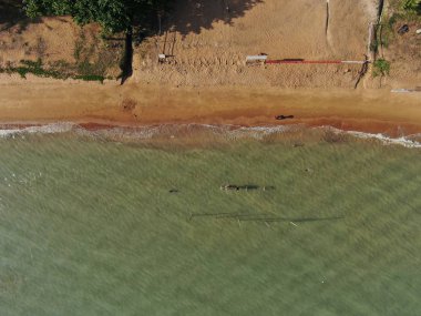 Port Dickson, Negeri Sembilan / Malezya - 25 Ocak 2020: Hibiscus çiçeği ve damga şeklinde oteller ve tatil beldeleri