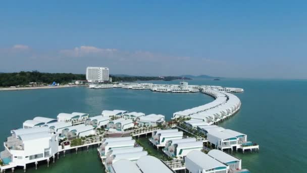 Port Dickson Negeri Sembilan Malaysia Januar 2020 Die Hibiskusblüte Und — Stockvideo