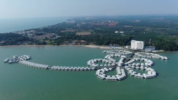 Port Dickson Negeri Sembilan Maleisië Januari 2020 Hibiscus Bloemen Stigmavormige — Stockvideo