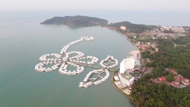 Port Dickson Negeri Sembilan Malaysia January 2020 Hibiscus Flower Stigma — 비디오