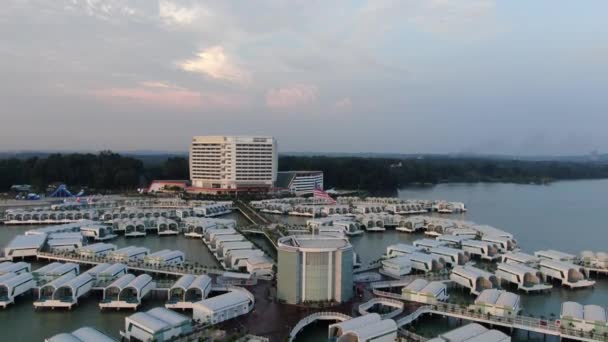 Port Dickson Negeri Sembilan Malaysia Januar 2020 Die Hibiskusblüte Und — Stockvideo