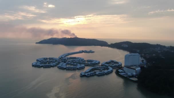 Port Dickson Negeri Sembilan Maleisië Januari 2020 Hibiscus Bloemen Stigmavormige — Stockvideo