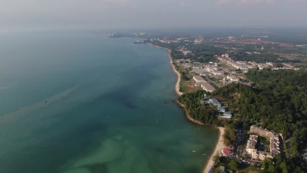 Port Dickson Negeri Sembilan Malasia Enero 2020 Flor Del Hibiscus — Vídeo de stock