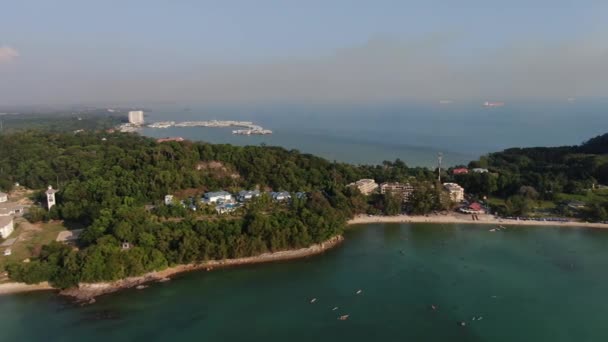 Port Dickson Negeri Sembilan Malásia Janeiro 2020 Flor Hibisco Hotéis — Vídeo de Stock