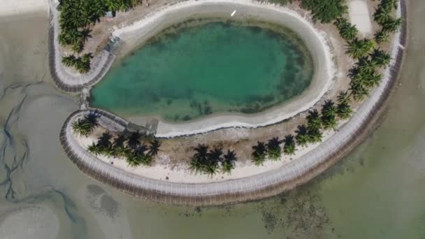 Port Dickson Negeri Sembilan Malaysia January 2020 Hibiscus Flower Stigma — 图库视频影像