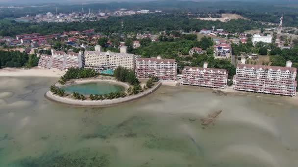 Port Dickson Negeri Sembilan Malaisie Janvier 2020 Fleur Hibiscus Stigmatisation — Video